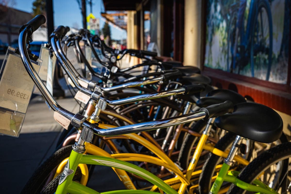 A row of bicycles lined up outside a bike shop