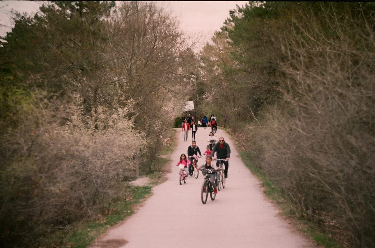Family riding bikes along a tree-lined path