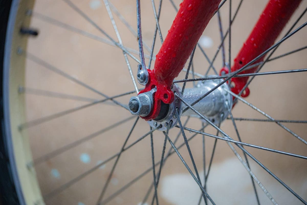 Close-up of a bicycle wheel and spokes