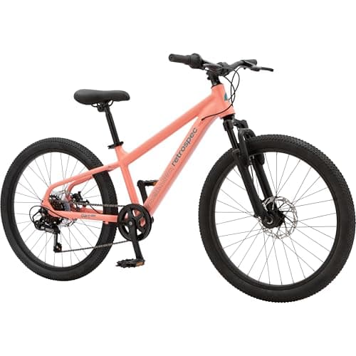 Retrospec Retrospec Dart Plus 24